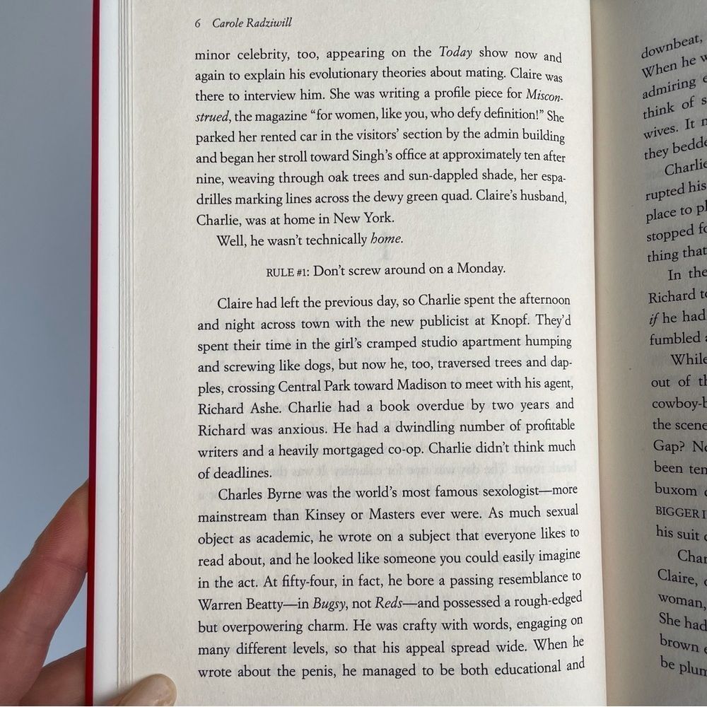 BOOK, The Widow’s Guide to Sex & Dating, a novel, 302 pages, Fiction, NOS - Picture 5 of 16